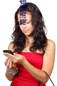 高清硬盤播放器