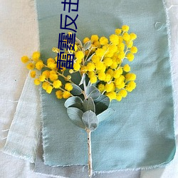 雷霆反击 （是非自有公论）