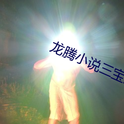 龍騰小說三寶局長