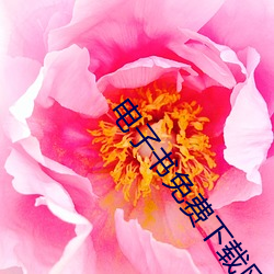 电子(子)书(書)免费下载(載)网站(站)