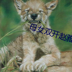母女(女)双开赵雅芝认(認)命1