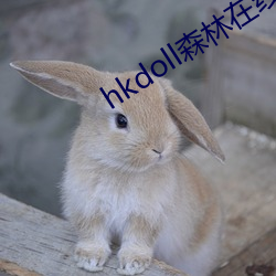 hkdoll森(森)林(林)在(在)线(線)观看