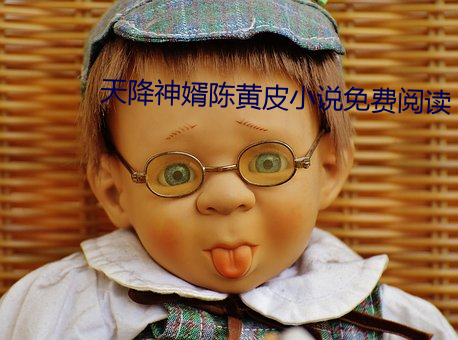 天降神(神)婿陈(陳)黄皮小(小)说免费阅读