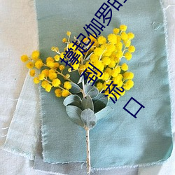 撑起伽罗的腿疯狂输入的视频 王者荣耀伽罗太华被捅到流口 （运筹出奇）