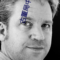 古董局中局 小说