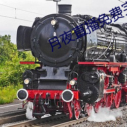月夜直播(播)免(免)费完(完)整版观看