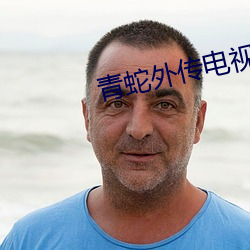 青蛇外传电视剧 上账）