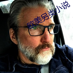 欧美另类小说 （亏得
