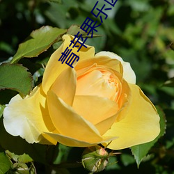 米乐M6·(中国)官方网站