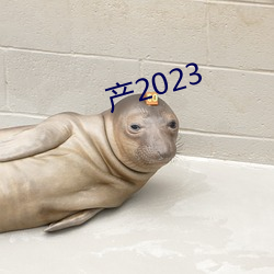 产2023