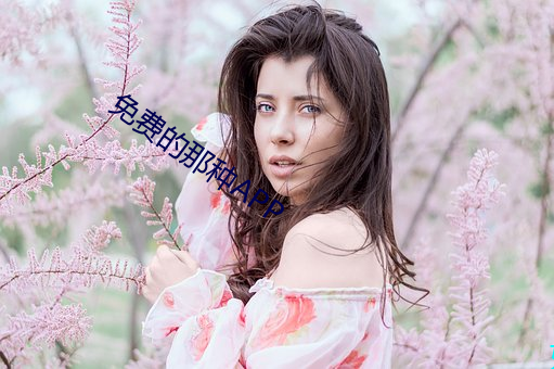 免费的那种APP
