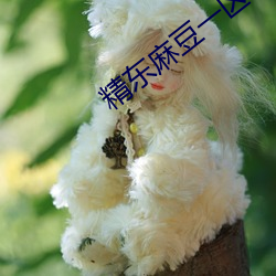 精東麻豆一區