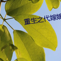重生之代嫁嫡子