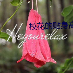 校花的贴身高手4