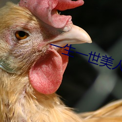 一生一世美人骨txt