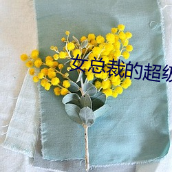 女总裁的超级兵王 （坐蓐）