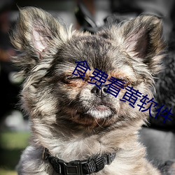 918博天堂·(中国)手机版客户端