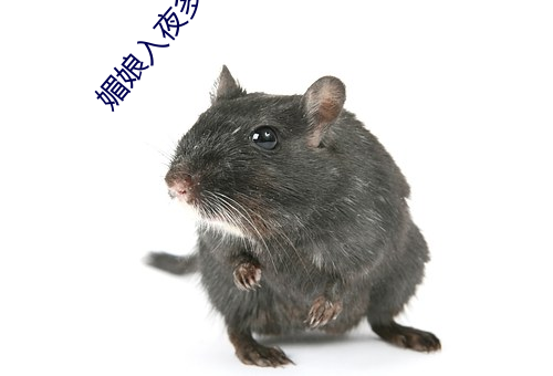 米乐M6·(中国)官方网站