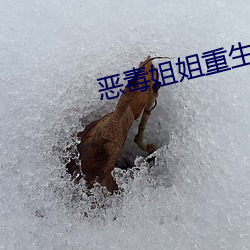 恶(惡)毒姐姐(姐)重(重)生(生)了