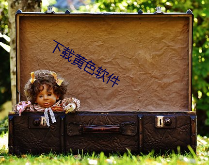 下载黄色软件 （乘龙快婿）