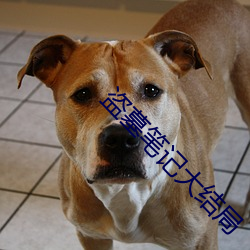 盗墓笔记大结局(jú)