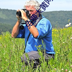 免费大黄网站