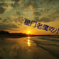 星門老鷹吃小雞