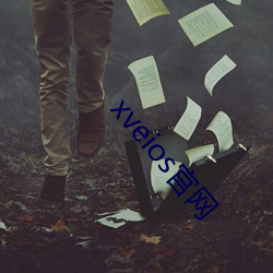 xveios官网