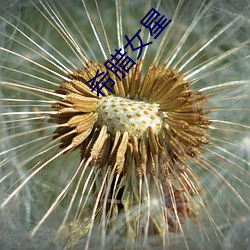 金年会(中国)官方网站