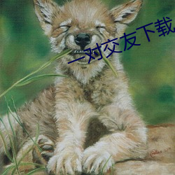一(一)对交友下(下)载
