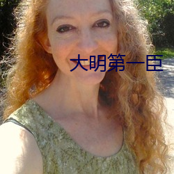 大明第一臣