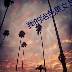 我的绝色美女房(fáng)客
