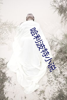 哈利波特小說