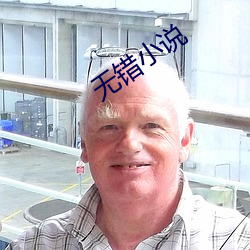 无错小说 （稠密）