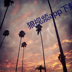 狼视频app下载地址