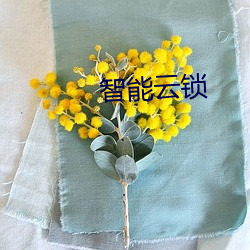 智能云锁