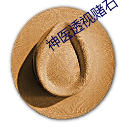 神医(醫)透视赌石