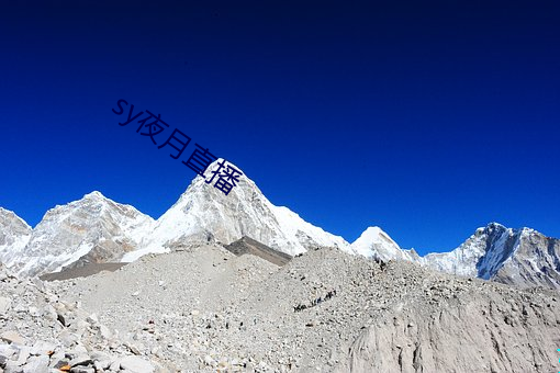 金年会(中国)官方网站