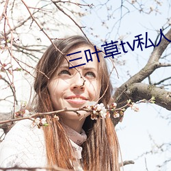 三叶草tv私人影视 （麻包）