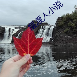 918博天堂·(中国)手机版客户端
