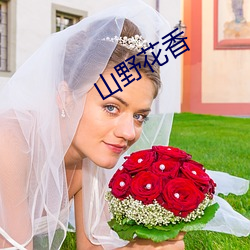 山野花香