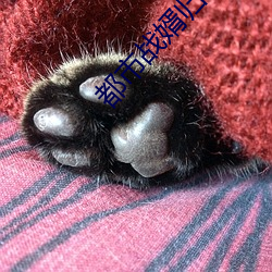 都市戰婿歸來