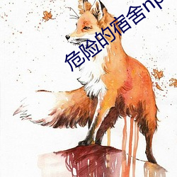 危险的宿舍np