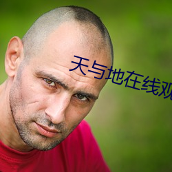 天与地在线观看