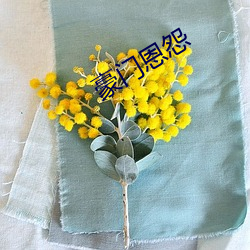 豪门(mén)恩怨