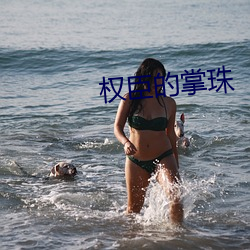 权臣的掌珠