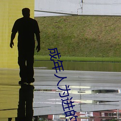 成年(nián)人为进的视并(bìng)