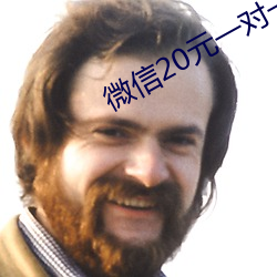 微信20元一对一指挥