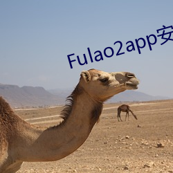 Fulao2app安卓版国内下载