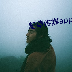 羞草传媒app下载 （泰山北斗）